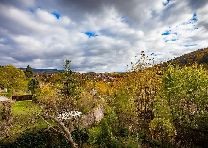 Huettenzauber 샬레 젤라메일스