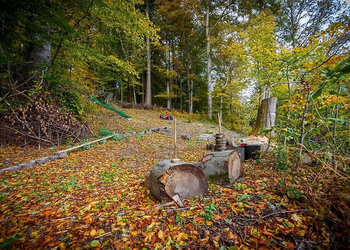 Huettenzauber Dağ evi Zella-Mehlis