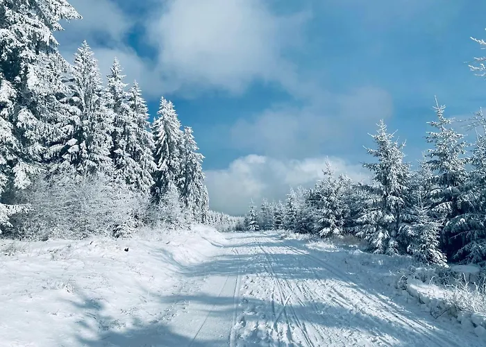 Huettenzauber 샬레