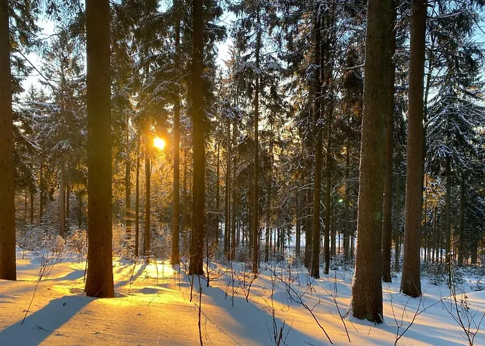 Dağ evi Huettenzauber *