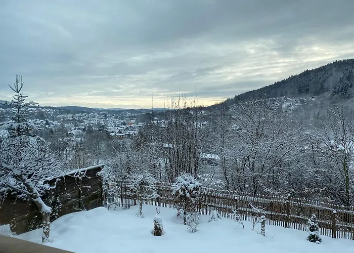 Dağ evi Huettenzauber Zella-Mehlis